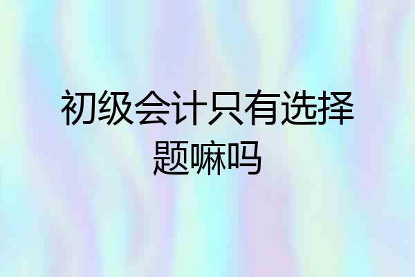 初级会计只有选择题嘛吗