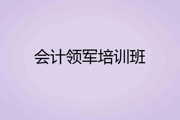 会计领军培训班