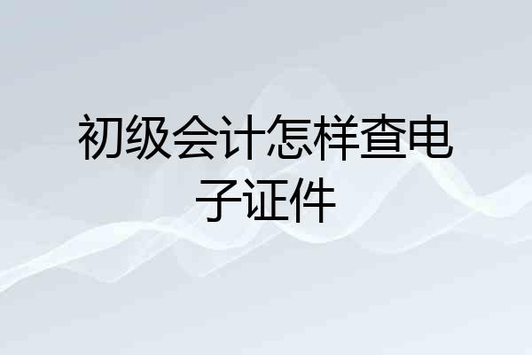 初级会计怎样查电子证件