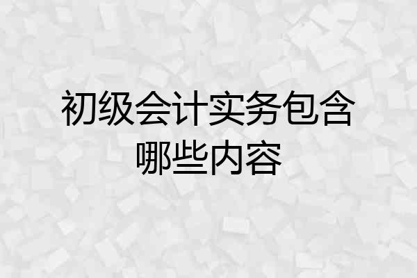 初级会计实务包含哪些内容