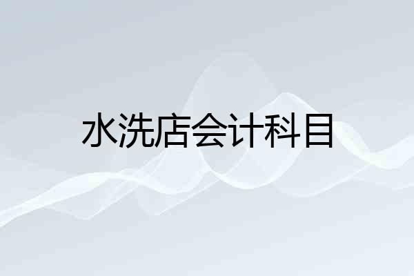 水洗店会计科目