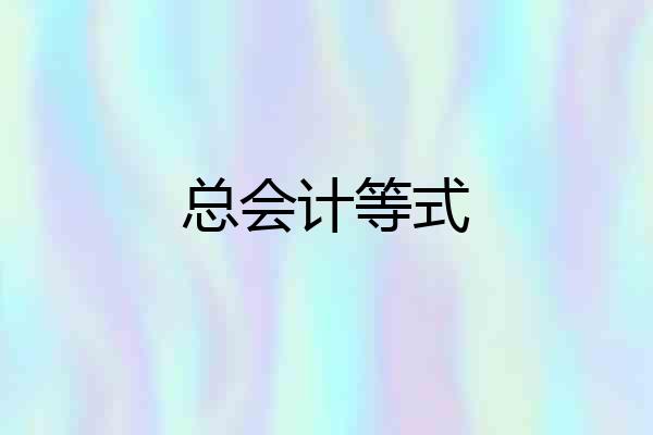 总会计等式