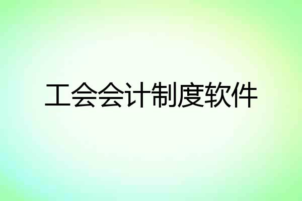 工会会计制度软件