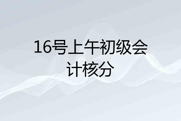16号上午初级会计核分