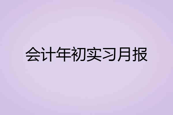 会计年初实习月报