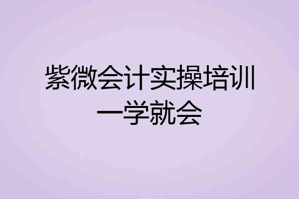 紫微会计实操培训一学就会