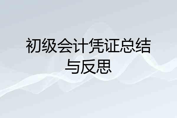 初级会计凭证总结与反思