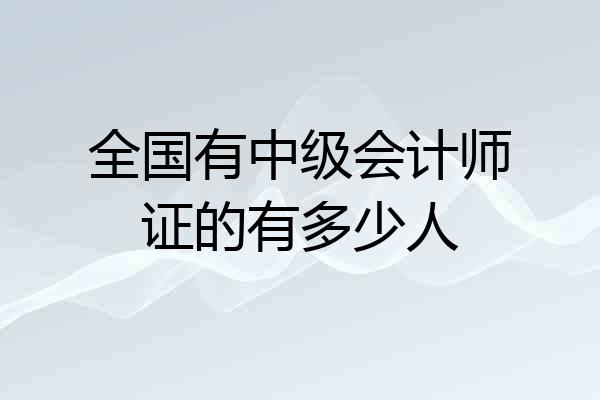 全国有中级会计师证的有多少人