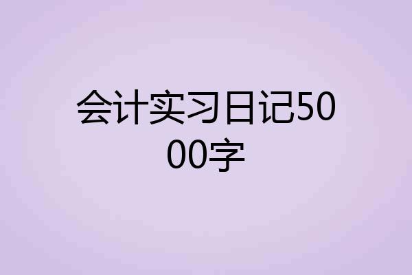会计实习日记5000字