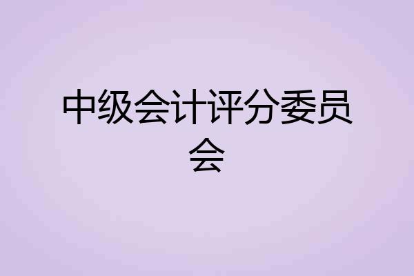 中级会计评分委员会