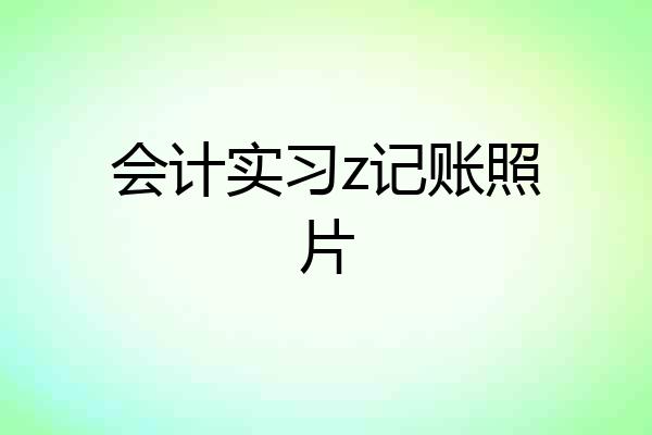 会计实习z记账照片