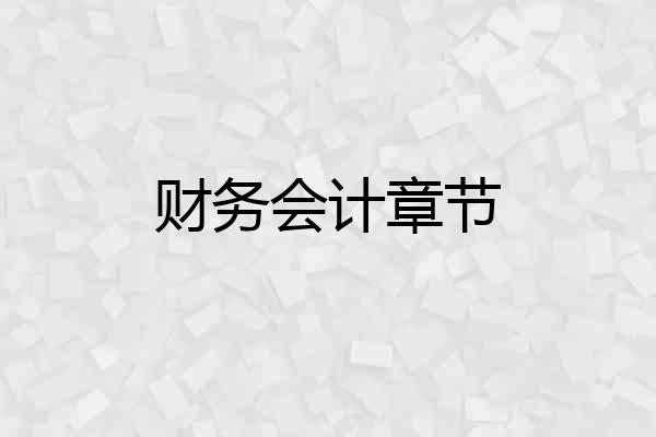 财务会计章节