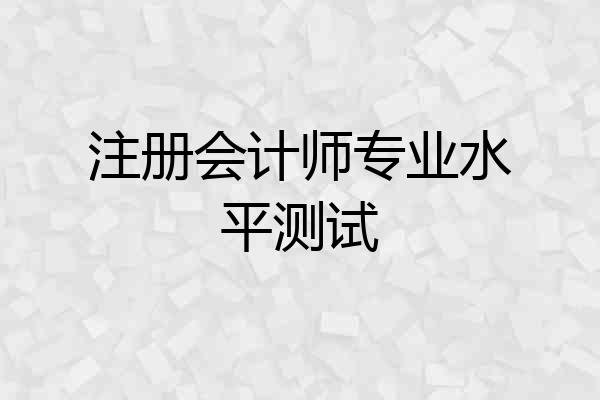 注册会计师专业水平测试