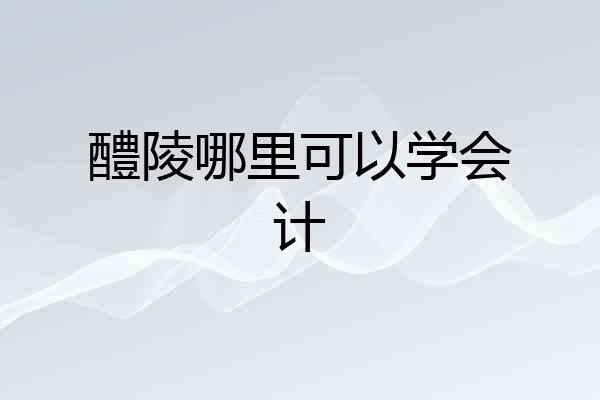 醴陵哪里可以学会计