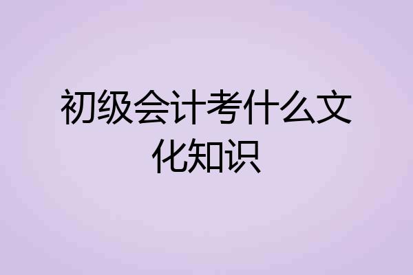 初级会计考什么文化知识