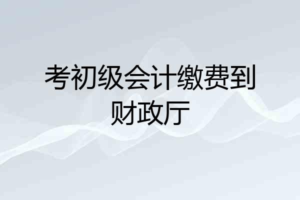考初级会计缴费到财政厅