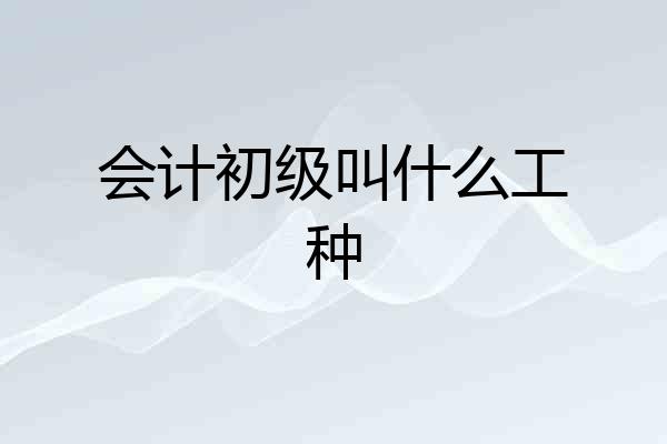 会计初级叫什么工种