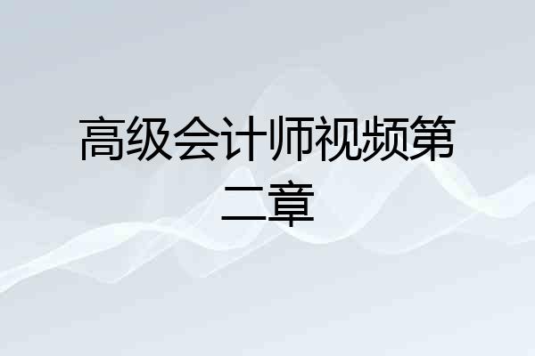 高级会计师视频第二章