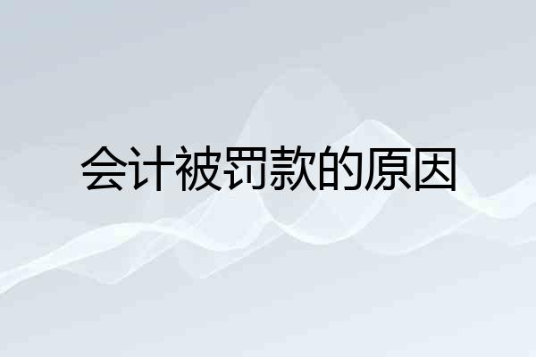 会计被罚款的原因