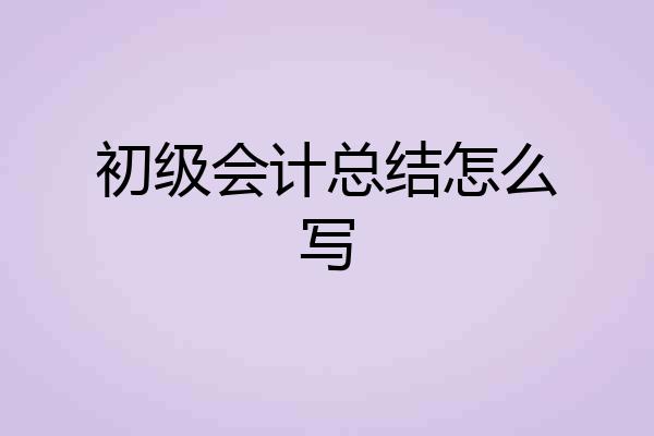 初级会计总结怎么写