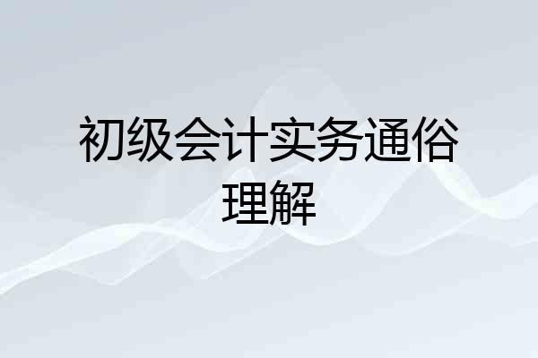初级会计实务通俗理解