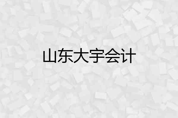 山东大宇会计