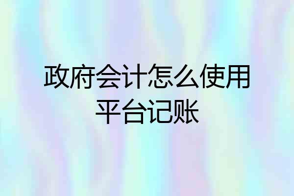 政府会计怎么使用平台记账
