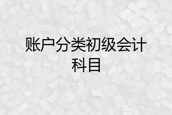 账户分类初级会计科目