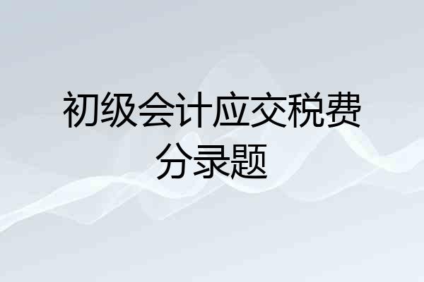 初级会计应交税费分录题