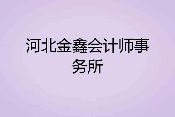 河北金鑫会计师事务所