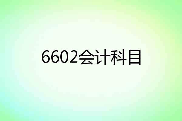 6602会计科目