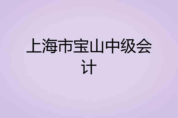 上海市宝山中级会计