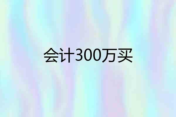 会计300万买