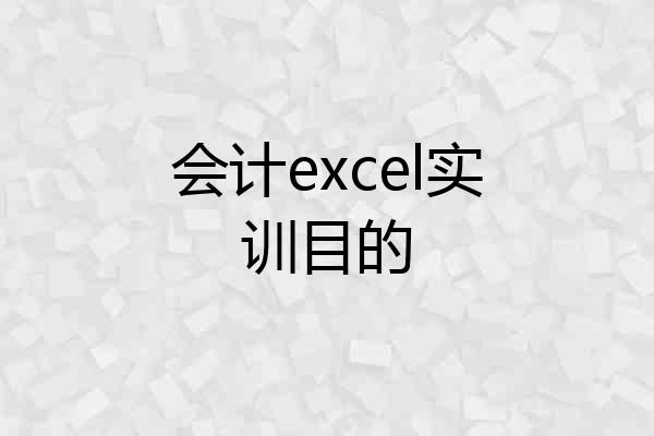 会计excel实训目的
