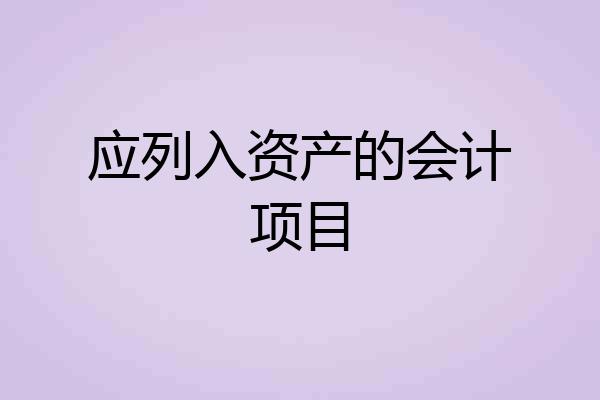 应列入资产的会计项目
