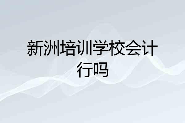 新洲培训学校会计行吗