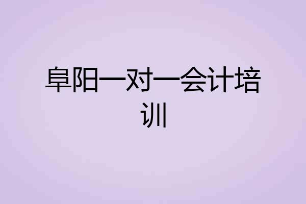 阜阳一对一会计培训