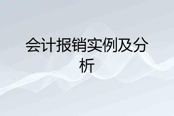 会计报销实例及分析