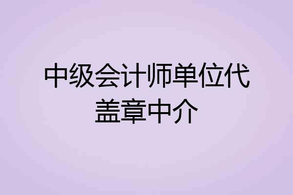 中级会计师单位代盖章中介