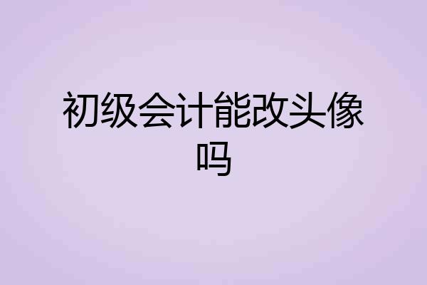 初级会计能改头像吗