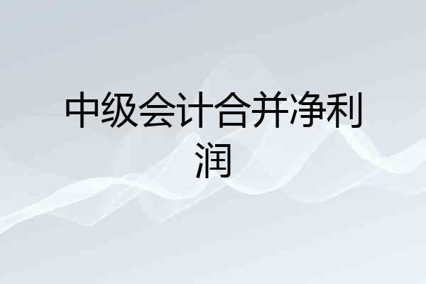 中级会计合并净利润