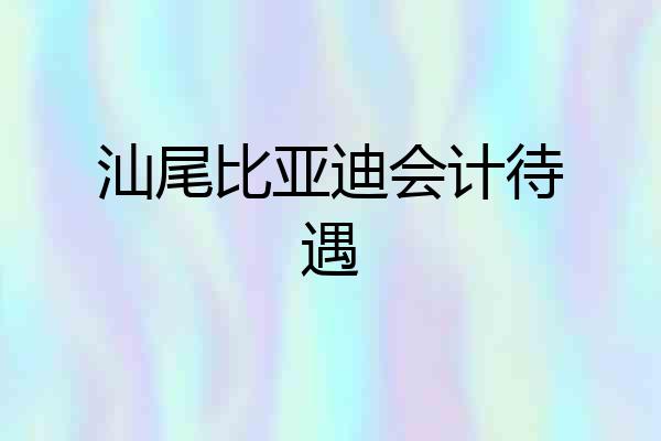汕尾比亚迪会计待遇
