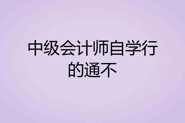 中级会计师自学行的通不