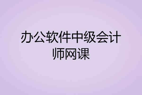 办公软件中级会计师网课