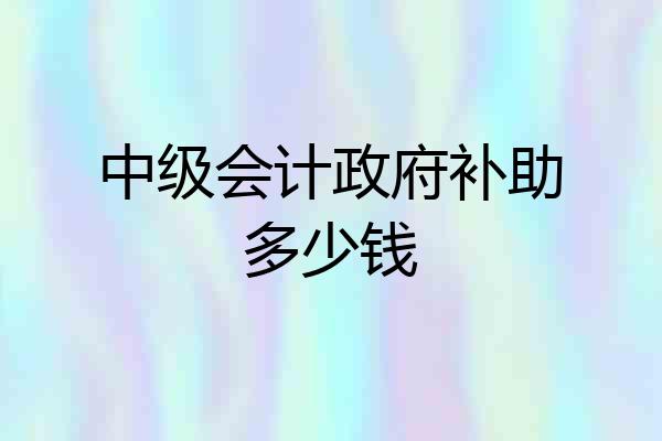 中级会计政府补助多少钱