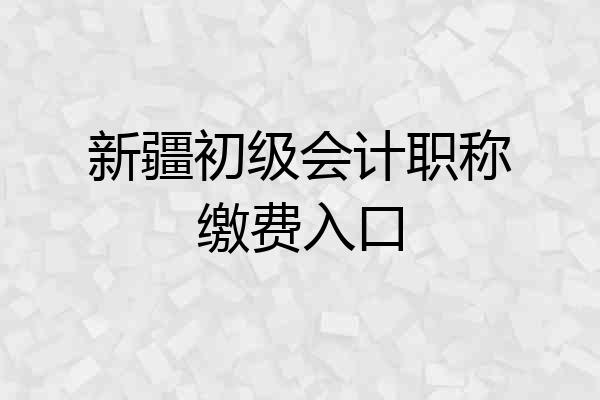 新疆初级会计职称缴费入口