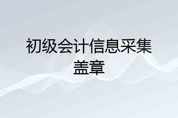 初级会计信息采集盖章