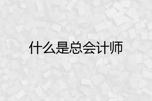 什么是总会计师
