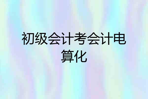 初级会计考会计电算化