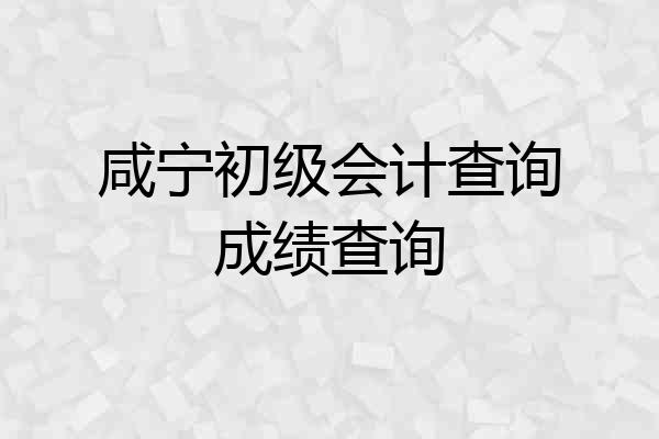 咸宁初级会计查询成绩查询